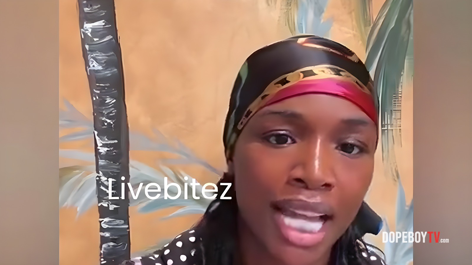 Claressa Shields Exposes Remy Ma's Lies About Papoose's Role